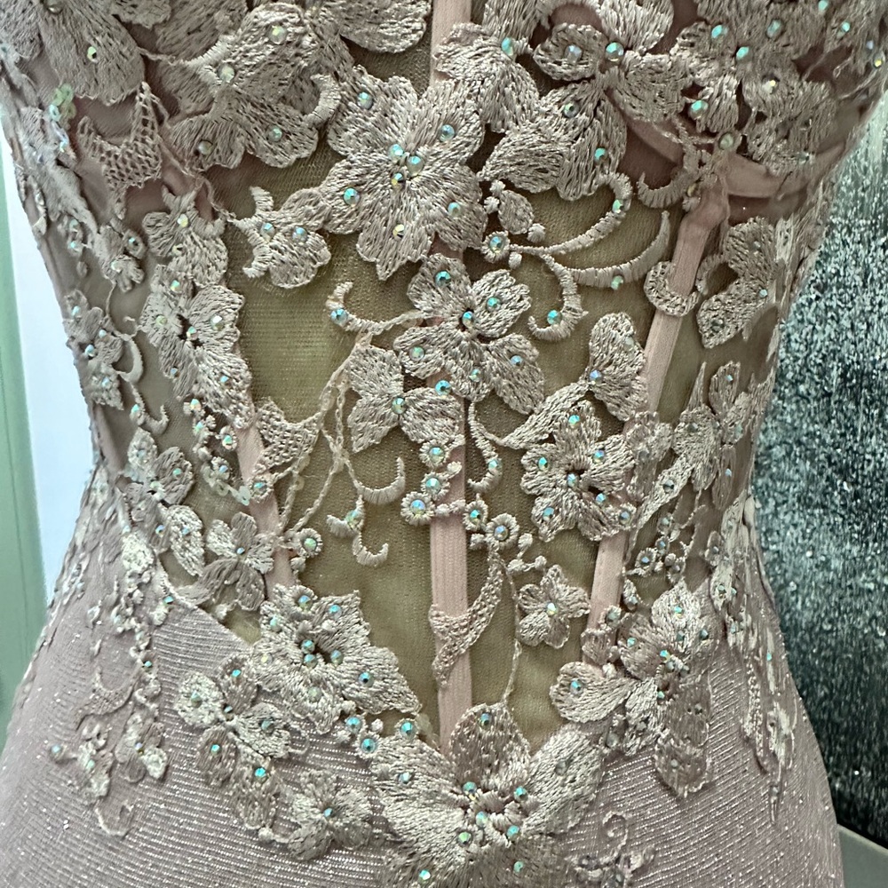 2x$70- Elegant Blush Lace Appliqué Evening Gown - Picture 5 of 6